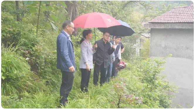 王海霞強(qiáng)調(diào)|抓細(xì)抓實防汛備汛工作,確保人民群眾生命財產(chǎn)安全