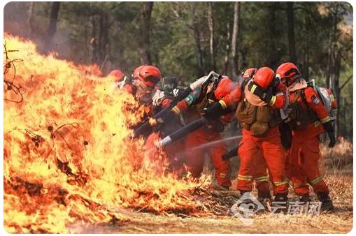 保護(hù)森林資源安全，構(gòu)筑生態(tài)麗江