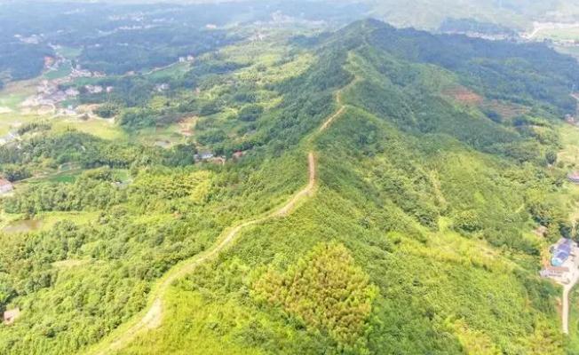 長沙兩年內(nèi)將完成1150公里林火阻隔系統(tǒng)建設(shè)